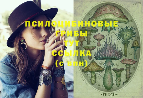соль курить ск Алзамай