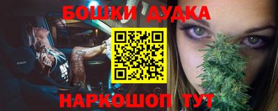 прущие грибы Моздок