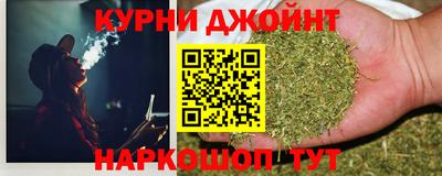прущие грибы Моздок