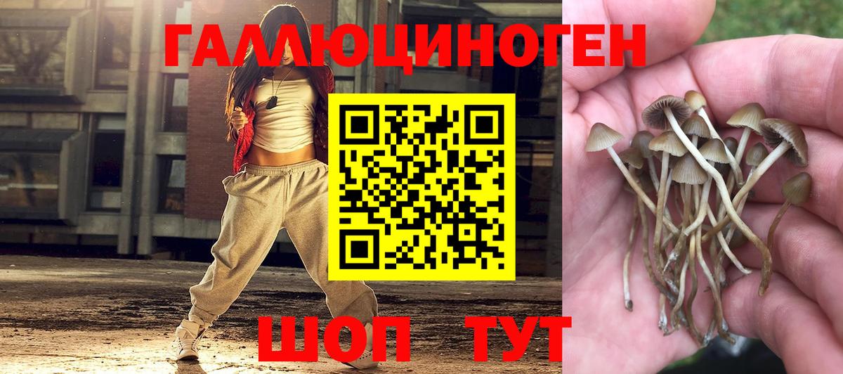 закладка  Галлюциногенные грибы ЛСД  Вход с VPN  Галлюциногенные грибы Magic Shrooms  Чебоксары 